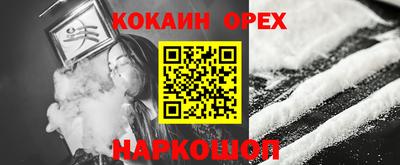 молекула духа Кингисепп