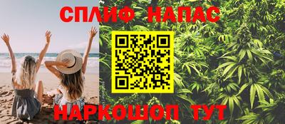 МДПВ Камышлов