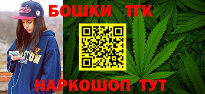 МДПВ Камышлов