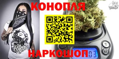 МДПВ Камышлов