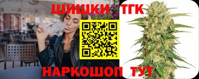 МДПВ Камышлов