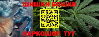 МДПВ Камышлов