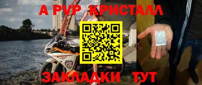 молекула духа Кингисепп