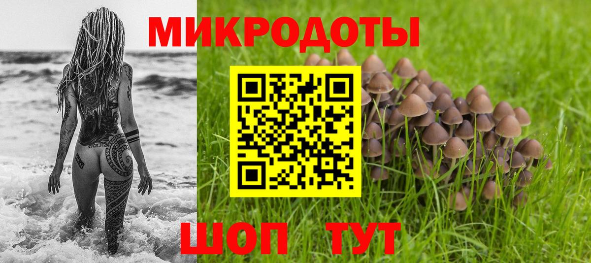 Кузнецк  Псилоцибиновые грибы ЛСД  Галлюциногенные грибы ЛСД  Вход с VPN 